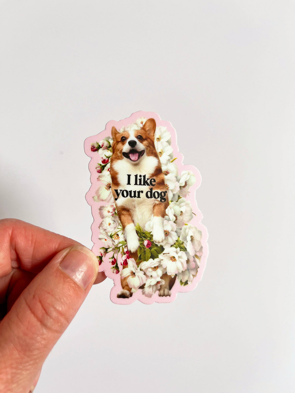 Corgi Sticker