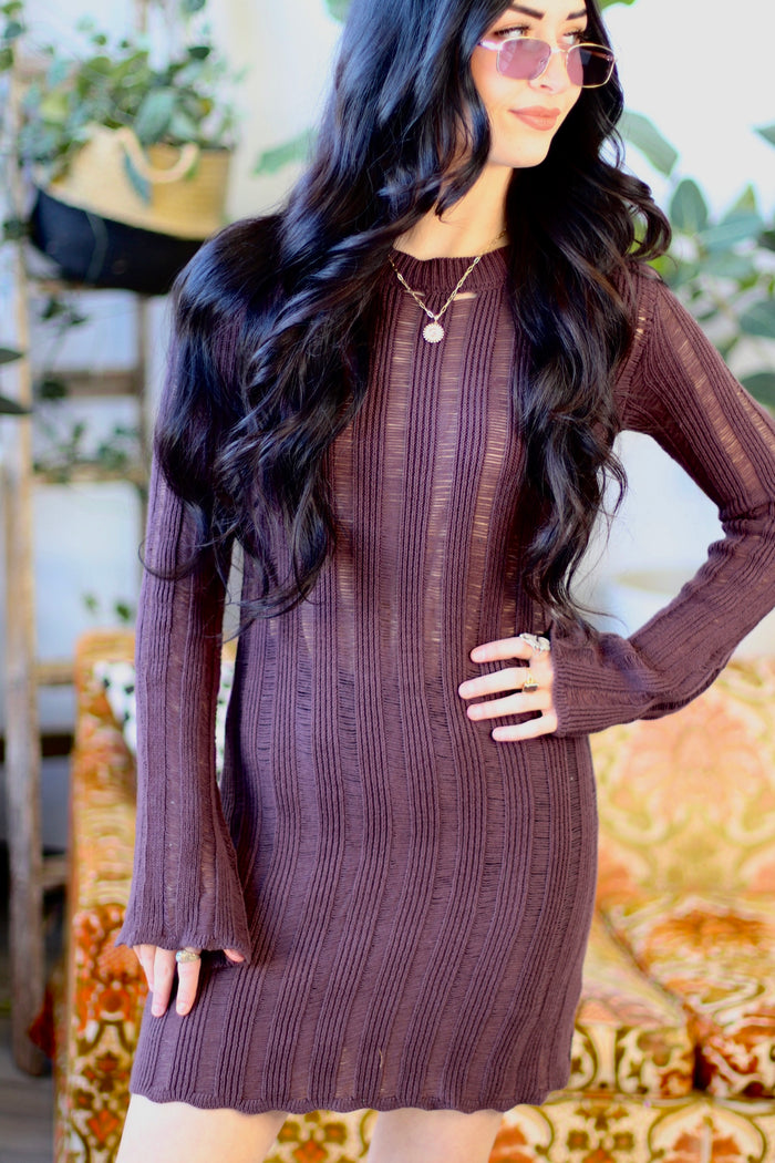 Lakyn Ladder Knit Plum Mini Dress