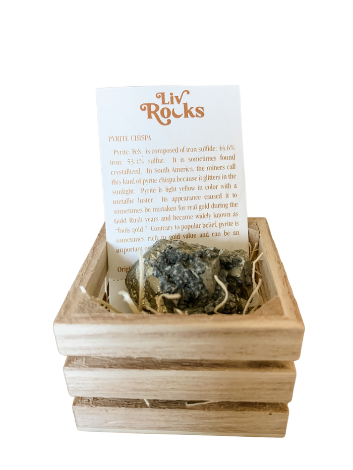 Boxed Crystals and Minerals with Gift Card and Tin: Pyrite - 580 Threads