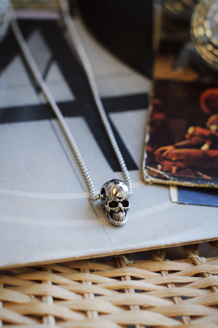 Stainless Steel Skull Necklace + Silver