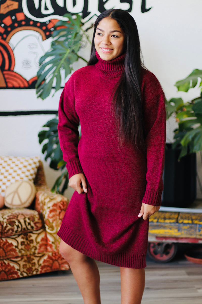 Turtle Neck Midi Dress + Cabernet