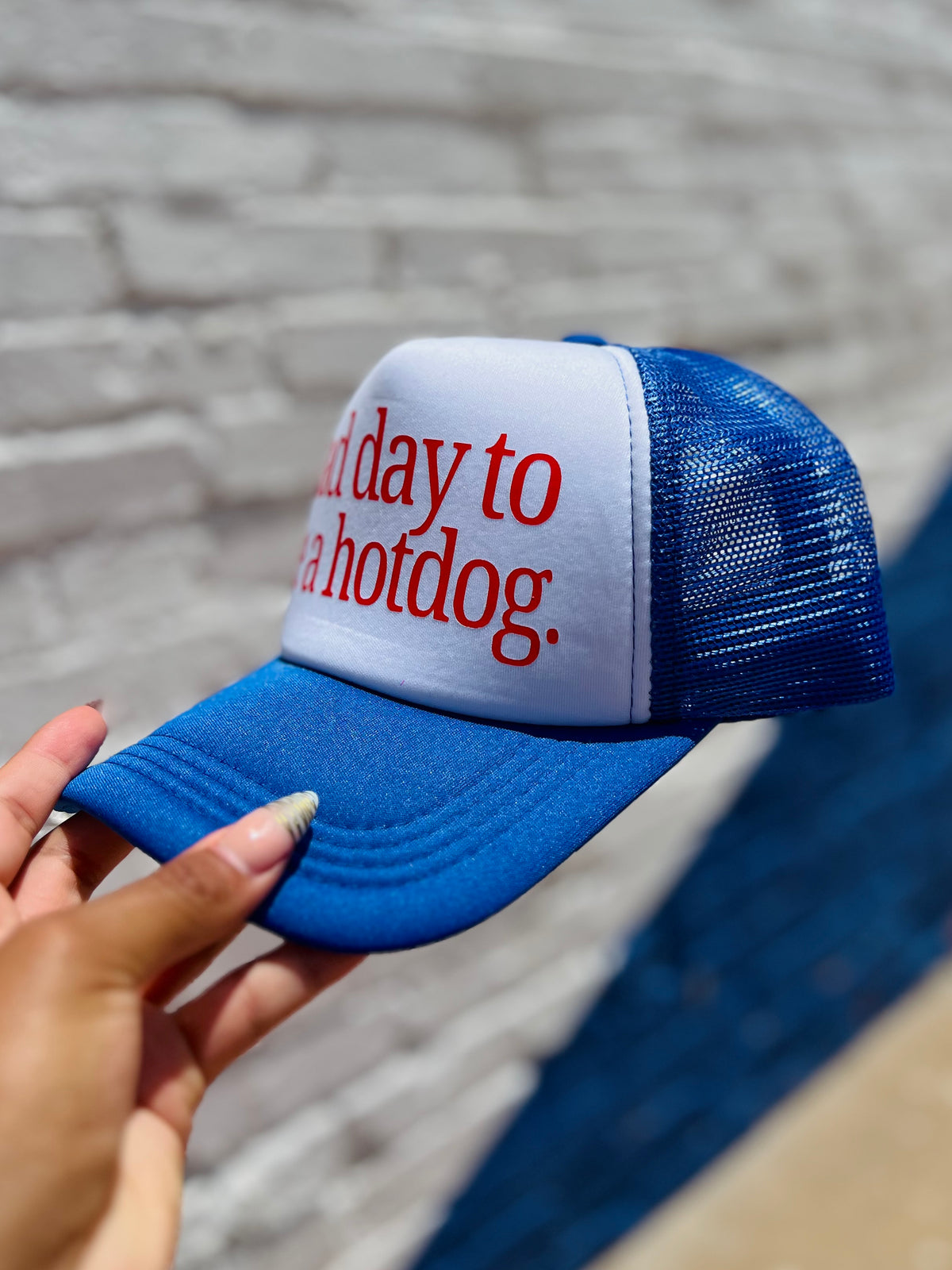 580 Trucker Hat + Blue Hot Dog