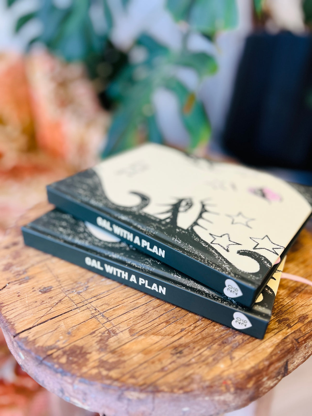 Gal With A Plan 2026 Planner