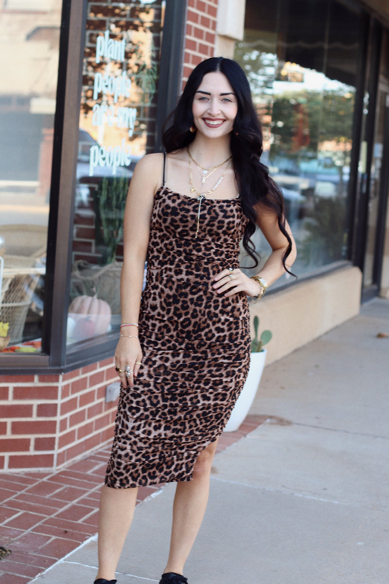 Rosie Leopard Mesh Dress