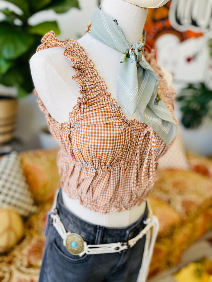 Going On A Picnic Cropped Gingham Top in Caramel