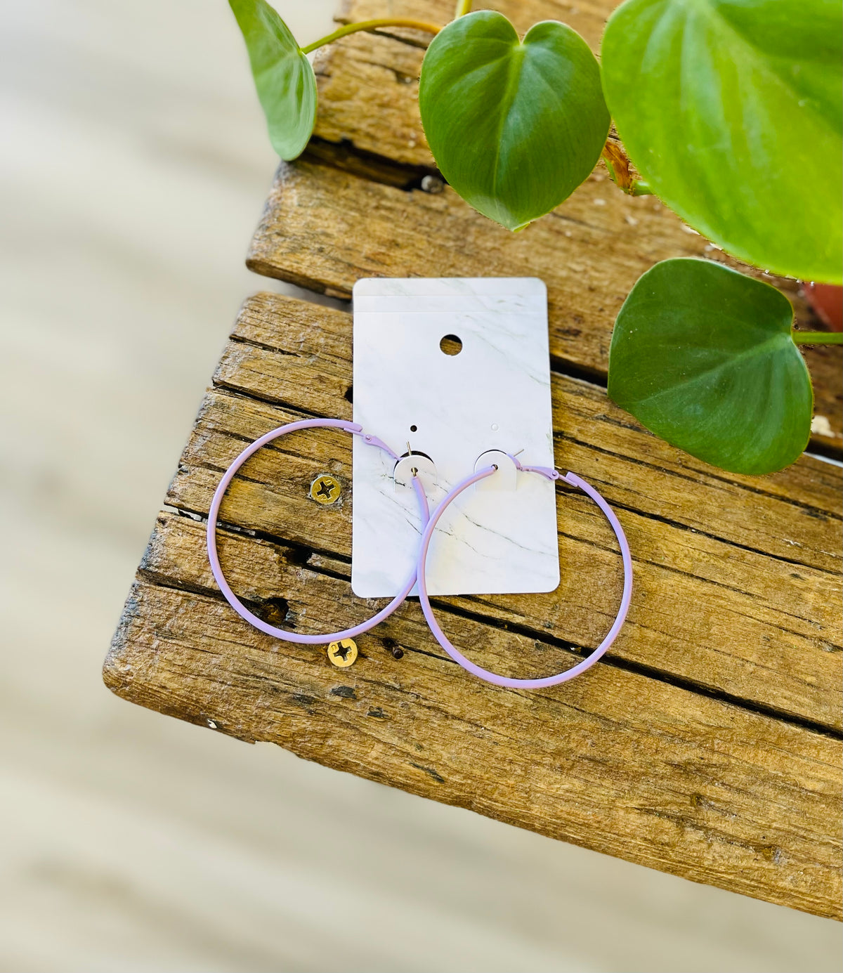 Skinny Hoop Earrings + 9 Colors