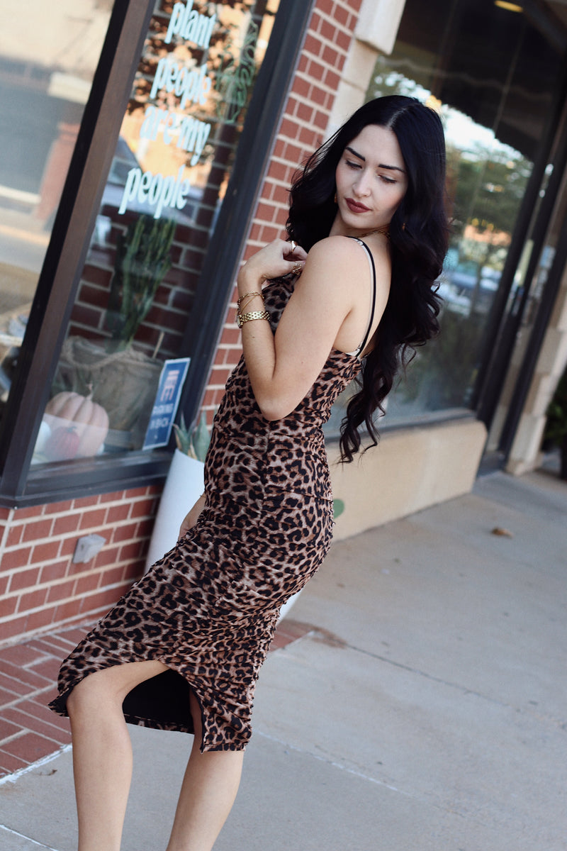 Rosie Leopard Mesh Dress