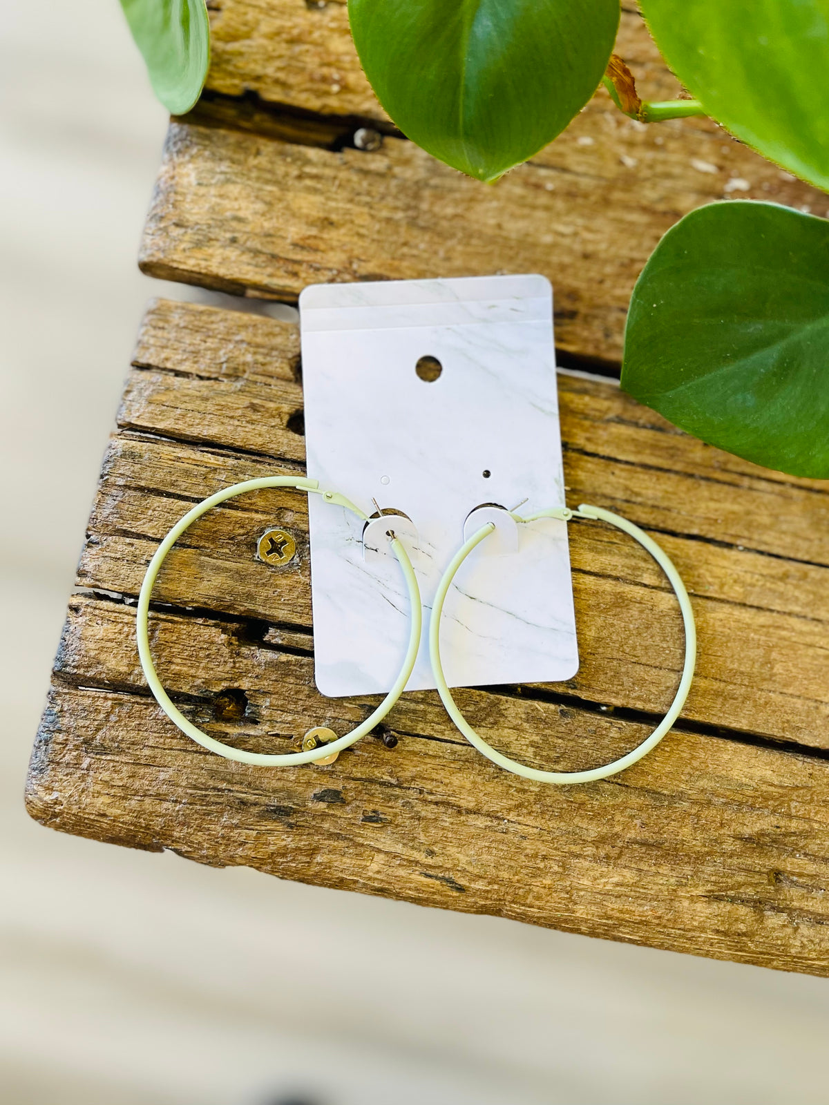 Skinny Hoop Earrings + 9 Colors