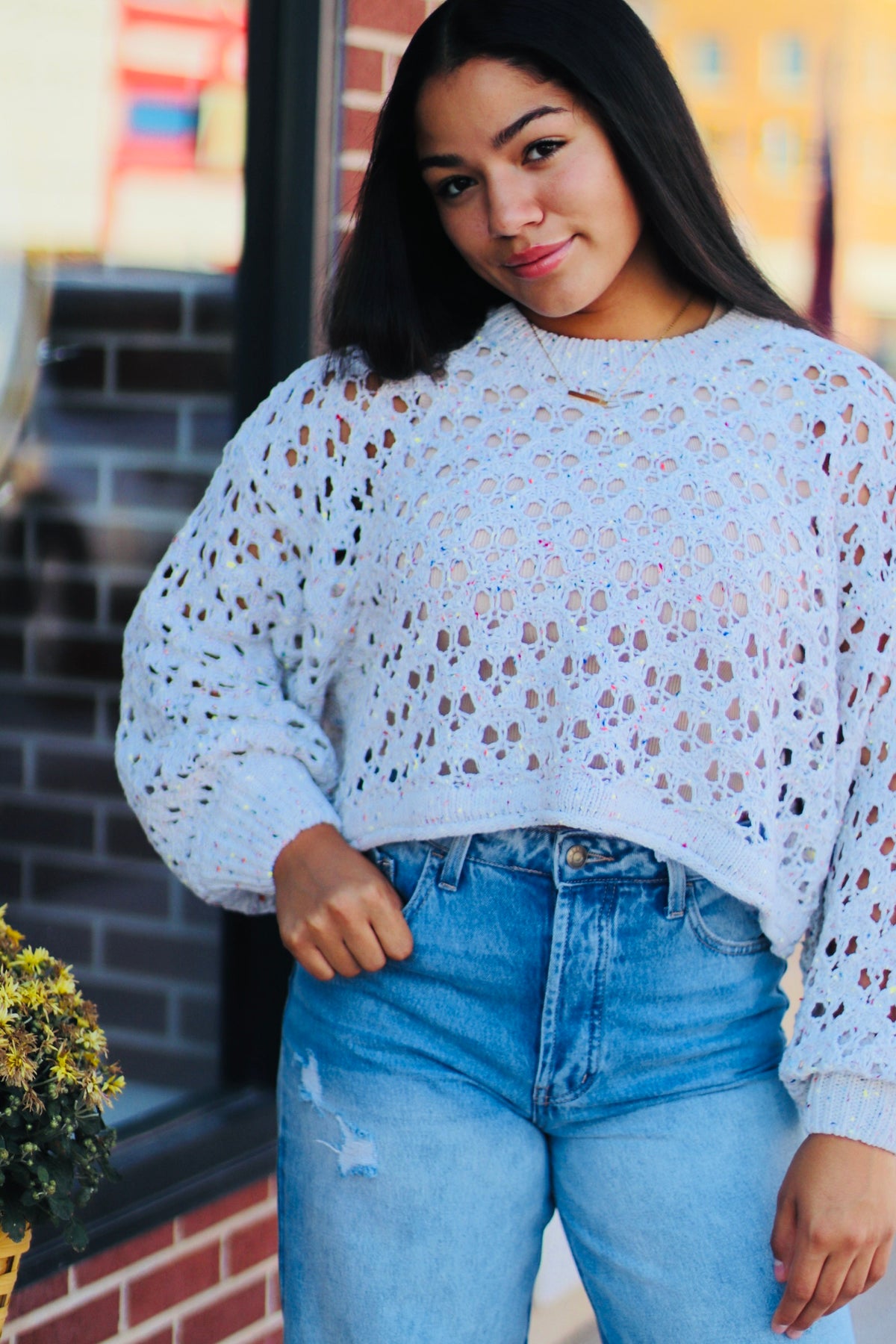 Crochet Cropped Sweater + Beige