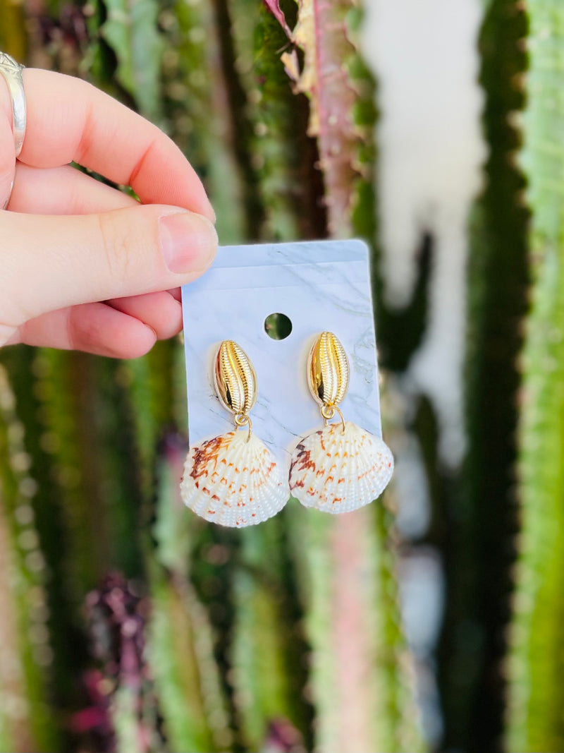 Shell Stud Earrings + 2 Colors